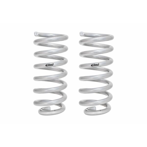 Set of 2 Springs