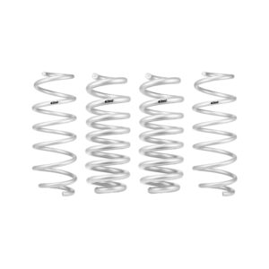 Set of 4 Springs