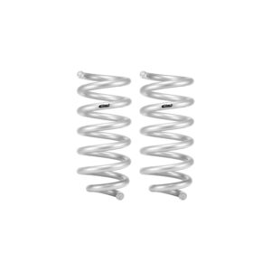Set of 2 Springs