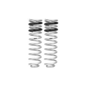 Set of 2 Springs