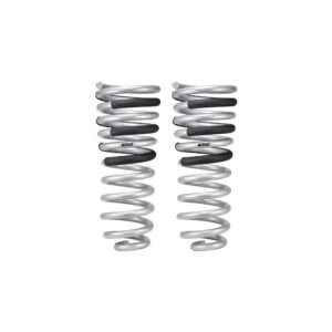 Set of 2 Springs