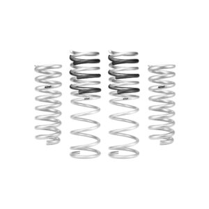 Set of 4 Springs