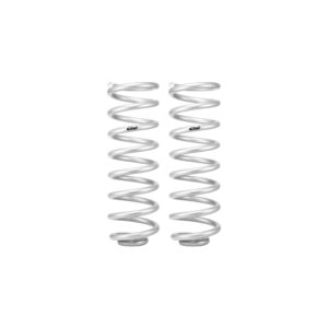 Pair of 2 Springs