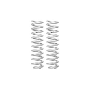 Set of 2 Springs