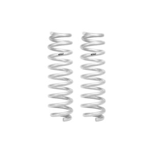 Set of 2 Springs