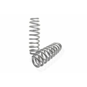 Set of 2 Springs