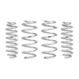 Set of 4 Springs