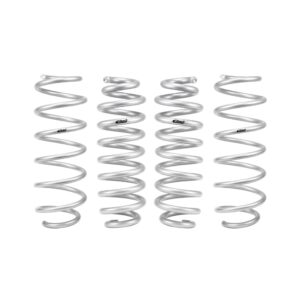 Set of 4 Springs