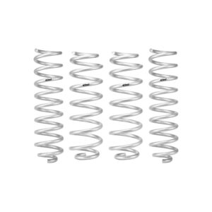 Set of 4 Springs