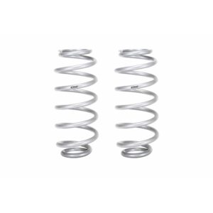 Set of 2 Springs