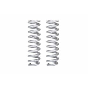 Set of 2 Springs