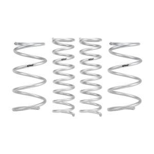 Set of 4 Springs