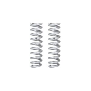 Set of 2 Springs