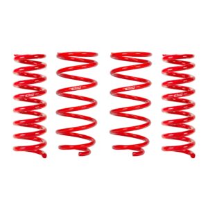 Set of 4 Springs