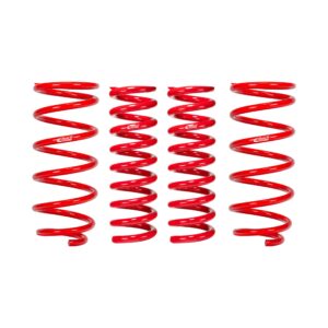 Set of 4 Springs