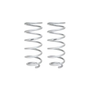 Set of 2 Springs