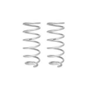Set of 2 Springs