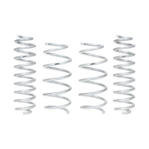 Set of 4 Springs