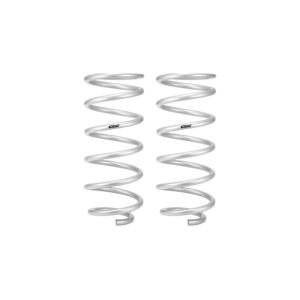 Set of 2 Springs