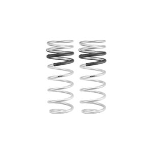Set of 2 Springs