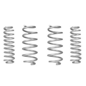 Set of 4 Springs