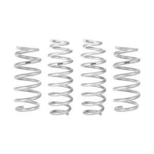 Set of 4 Springs