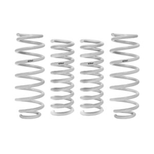 Set of 4 Springs