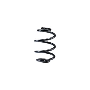 Single Rear Spring