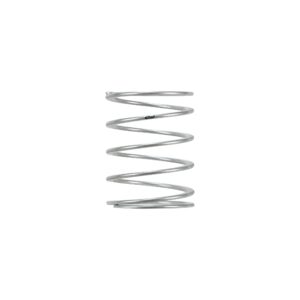 Single Spring