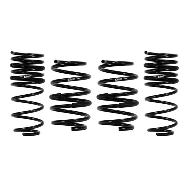 Pro-Kit Lowering Springs