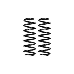 Set of 2 Rear Springs