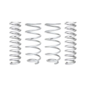 Set of 4 Springs
