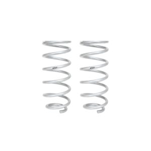 Set of 2 Springs
