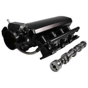 Stage 1 No Springs Required Induction Package for N/A GM LS1/Cathedral Port