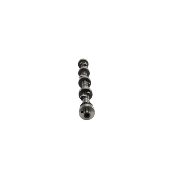 EFI 215/224 Hydraulic Roller Cam and Lifter Kit Ford 221-302 V8
