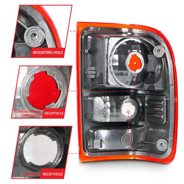 Tail Light Assembly