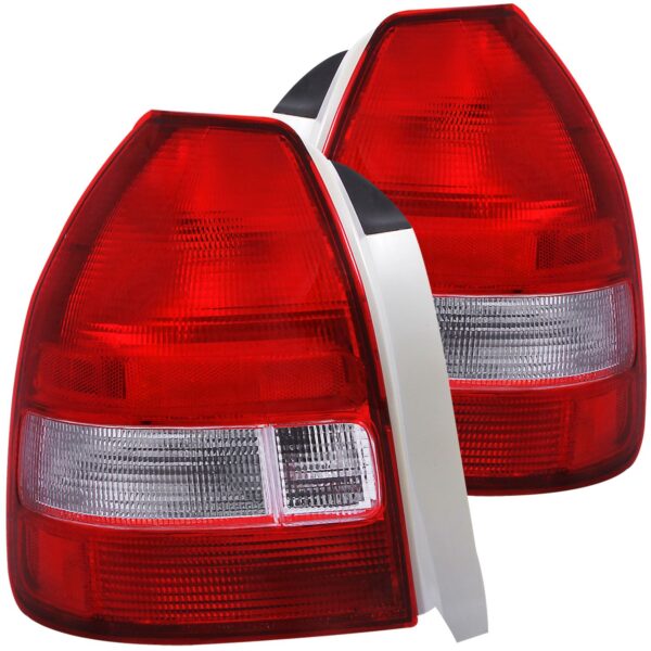 Tail Light Assembly