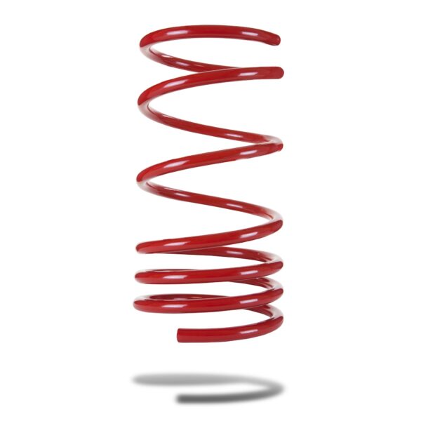 COIL SPRING - REAR