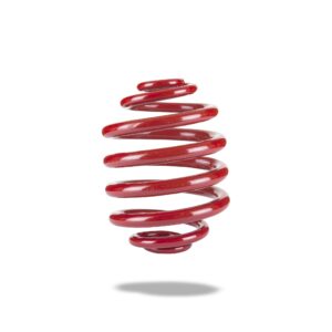 COIL SPRING - REAR