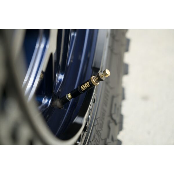 Tire Deflator