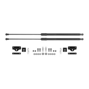 Hood Lifts Ford Bronco Sport 2021-2024