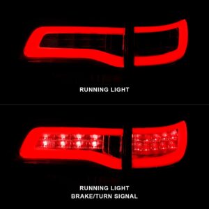 Tail Light Assembly