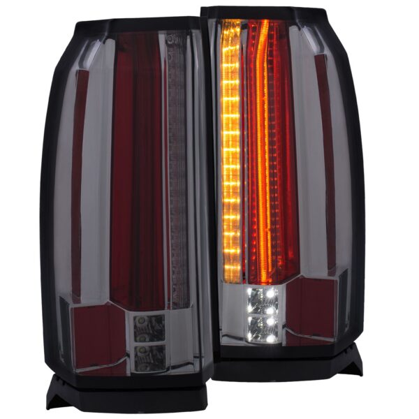 Tail Light Assembly