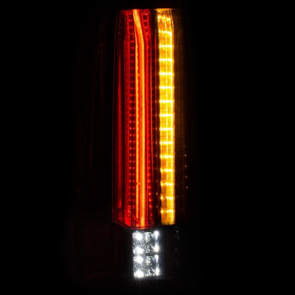 Tail Light Assembly