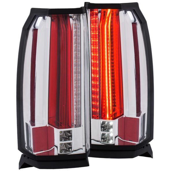Tail Light Assembly