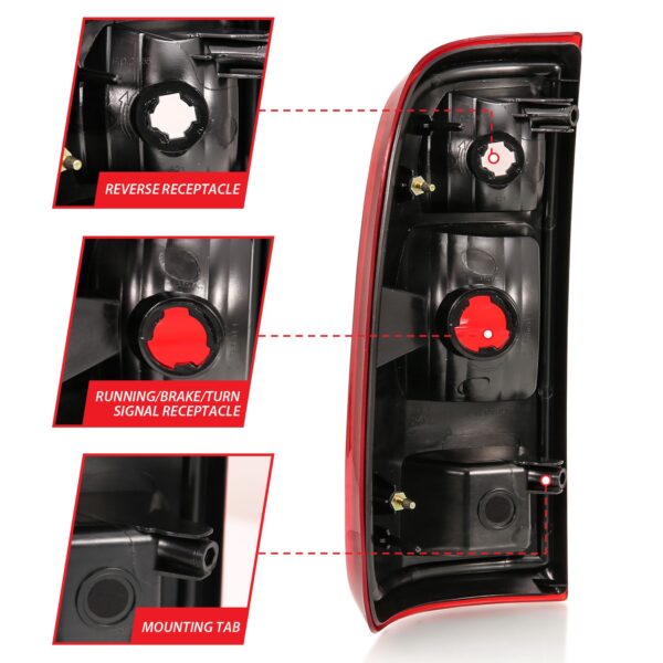 Tail Light Assembly