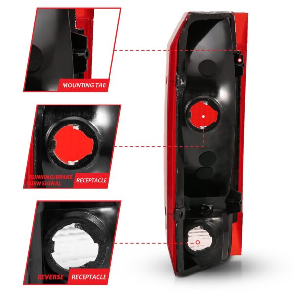 Tail Light Assembly