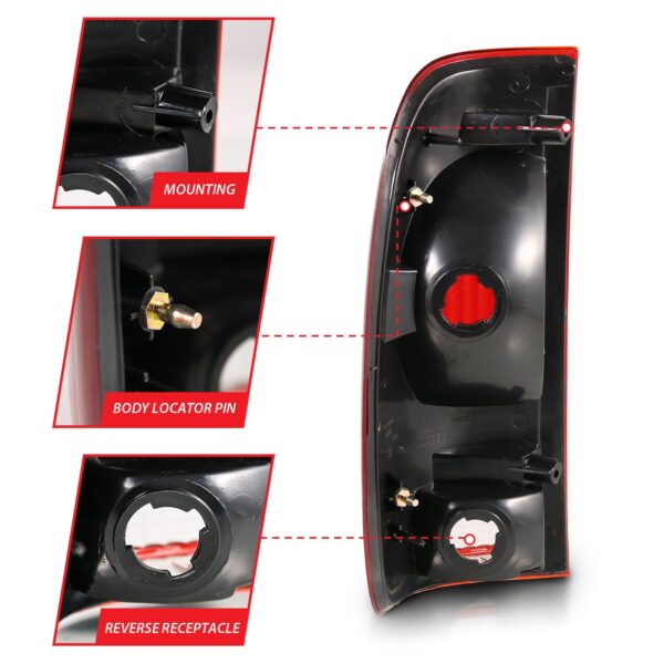 Tail Light Assembly