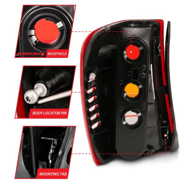 Tail Light Assembly