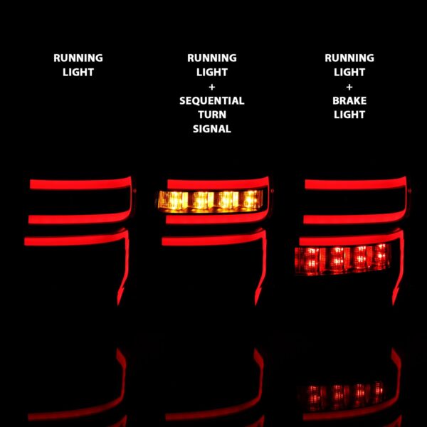 Tail Light Assembly